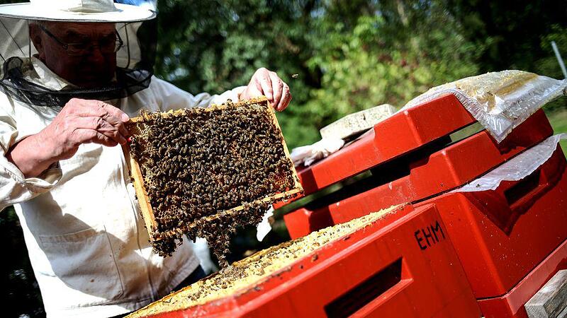 82,16 Euro Strafe: Honig eines Imkers war einwandfrei, aber falsch etikettiert
