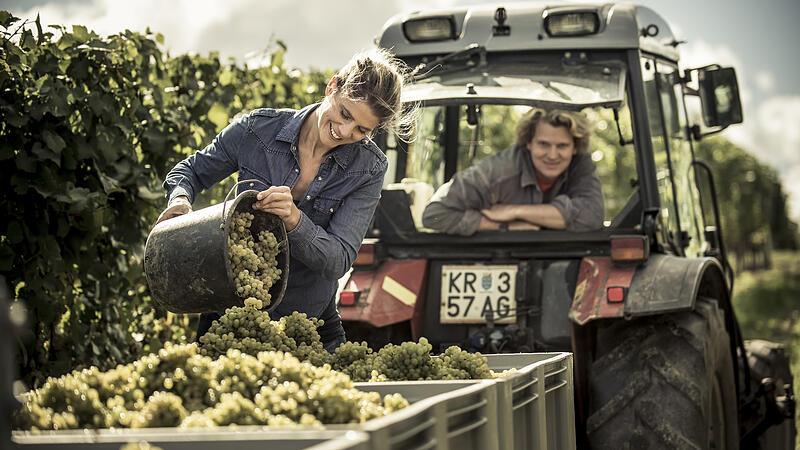 Weingut Malat – ein mehr als erfolgreicher Kremstaler Pionierbetrieb