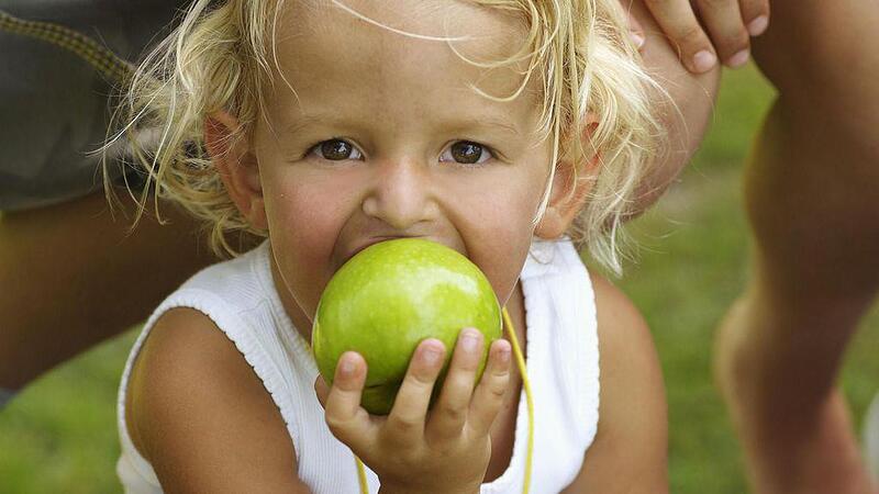 Kinder & Ernährung: Was Hänschen nicht lernt...