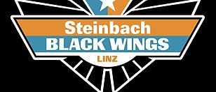 Black-Wings-Logo