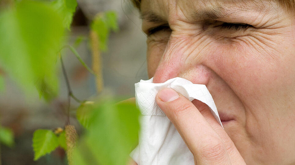 Rot-Kreuz: Tipps und "Tricks" für Pollen-Allergiker