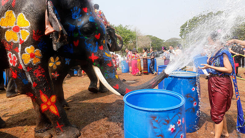 News Bilder des Tages April 9, 2024, Ayutthaya, Thailand: An elephant splashes water on a woman during the celebration o