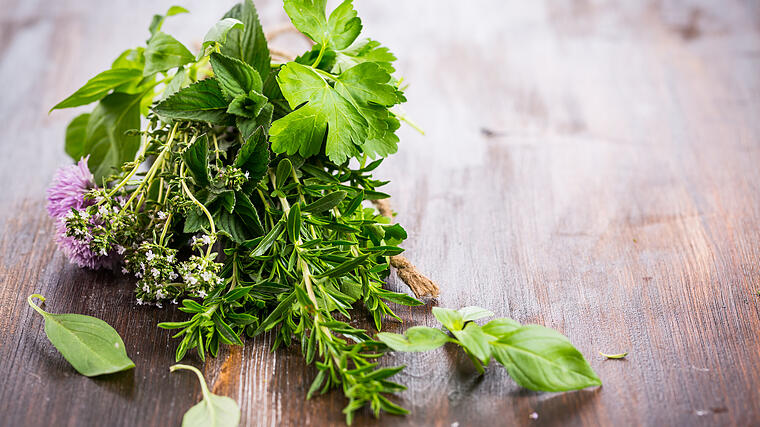 Bunch of different herbs for cooking