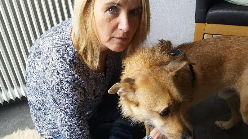 Überlebt: Zug riss Hund "Tango" an der Leine mit