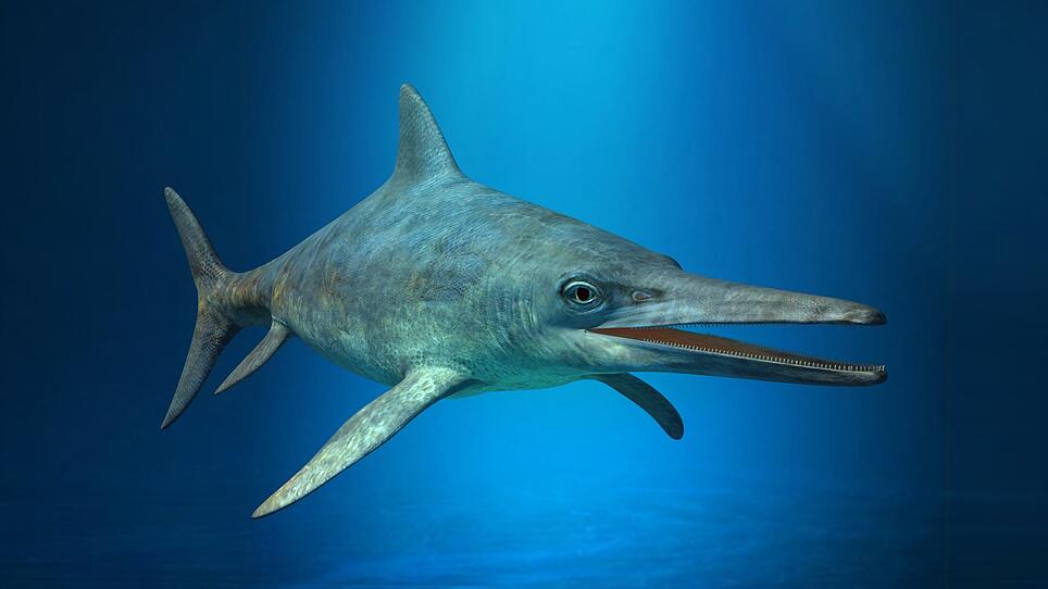 Forscher fanden Reste heimischer Fischsaurier