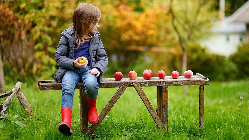 Studie: Zwei Äpfel pro Tag halten den Darm gesund