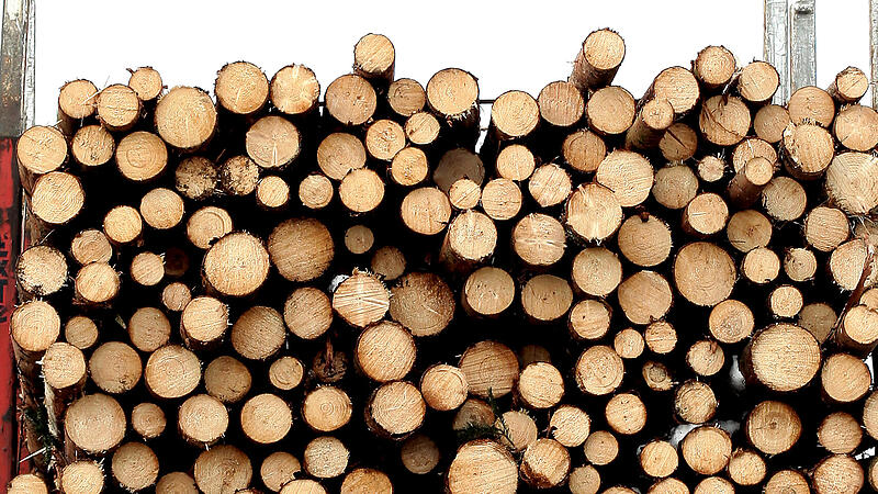 "Auch die Rohstofflieferanten sollen ihren Anteil am Holzboom erhalten"