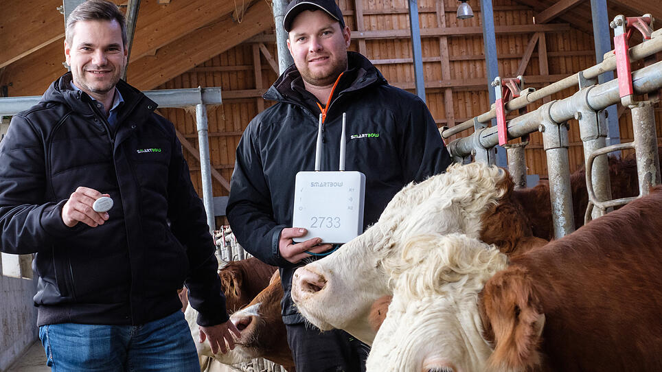 Da wackelt die Kuh mit den Ohren: US-Riese kauft Weiberner Smartbow