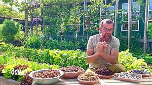 Plobergers Gartentipps: Warum Mulchen gerade jetzt wieder so wichtig ist
