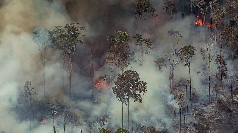 Brasilien Waldbrände
