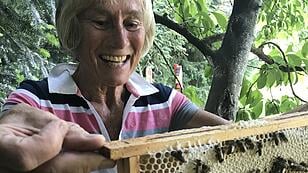 "Der Honig unserer fleißigen Bienen ist köstlich"