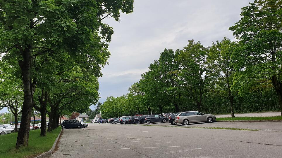 Klima: Bäume für Parkplätze sind nicht verpflichtend