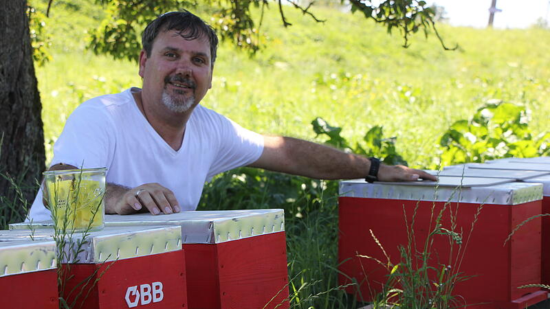 Mühlviertler "Schienenbienen" machen Honig für ÖBB-Fernzugpassagiere