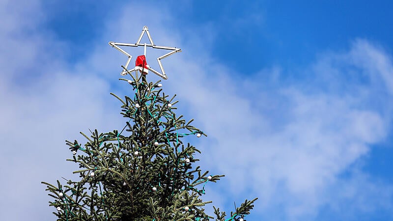 Transport company left Christmas bonnet on Linz Christmas tree