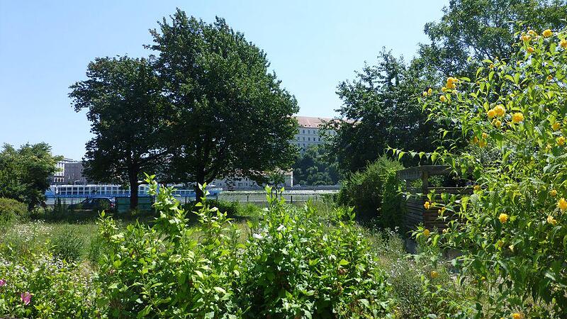Entspannen unter Bäumen an der Donau &bdquo;Garten für alle&ldquo; in Alt-Urfahr geplant