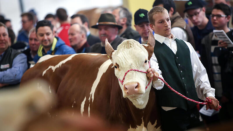 Neue Herbstmesse Wels: Fachausstellung für Tiere soll Landwirte anlocken