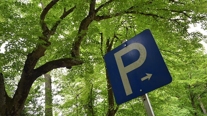 Geplanter Hotelparkplatz im Auwald beim Landschloss Ort stößt auf Kritik