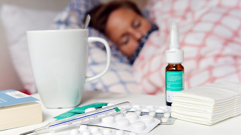 Grippe Grippaler Infekt Erkältung