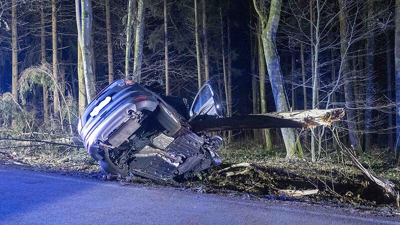 Car impaled by tree in Weilbach: “If someone had been sitting there, he would be dead”