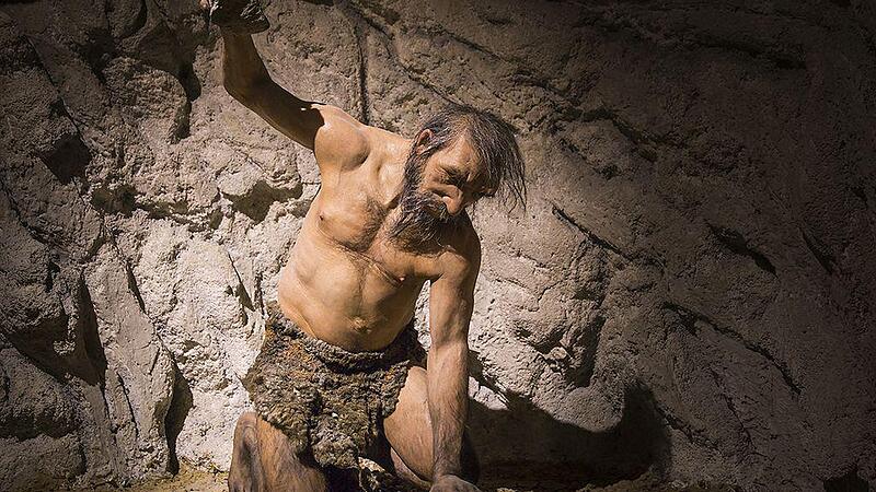 Das Wunder Mensch in Schmiding: Neues Evolutionsmuseum ist eröffnet
