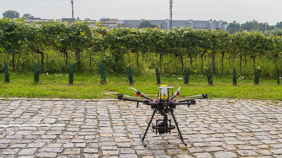 Weinanbau in Leonding mit Drohne überwacht