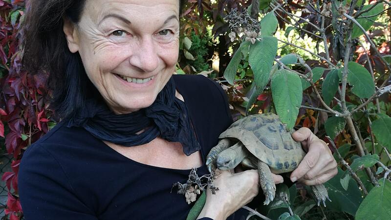 Von wegen unsensible Tiere: "Auch Schildkröten brauchen Zuneigung"