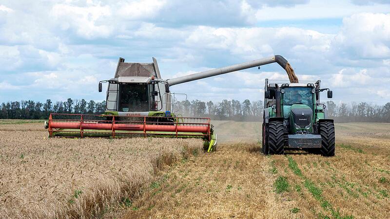 Cheap grain from Ukraine is now enraging Western Europeans