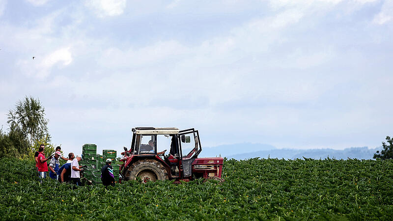 Wegen Brexit und Grenzschutz müssen Bauern um EU-Milliarden bangen
