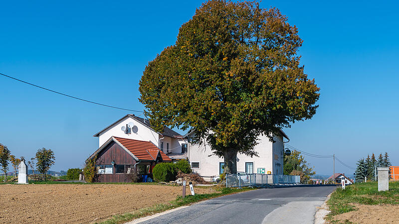 Ins Gasthaus "Baum mitten in der Welt" könnte demnächst ein Bordell einziehen