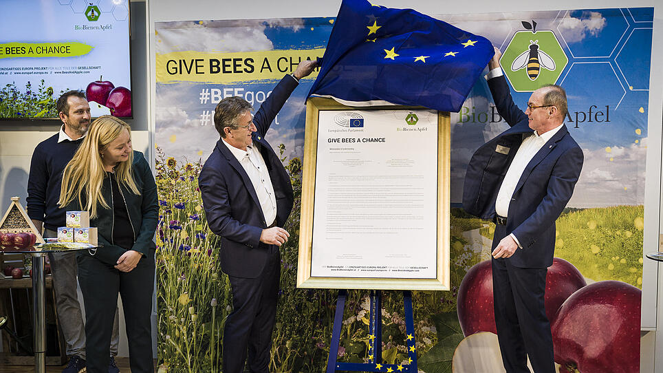 "Give bees a chance": Ein EU-Projekt für die Biene