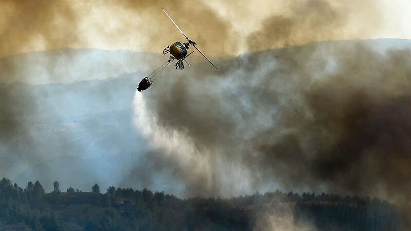 Forest fires in Spain destroy at least 3,000 hectares