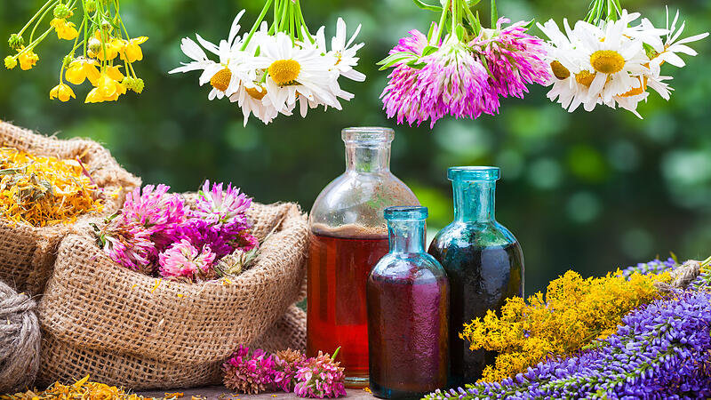 Phytotherapy – healing with the power of herbs