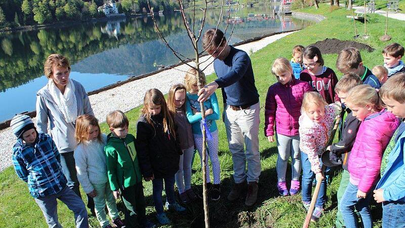 Gemeinde Grundlsee setzt Apfelbäume und schenkt sie den Kindern im Ort