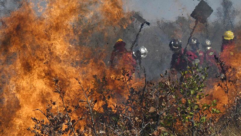 Klimawandel lässt Waldbrände weltweit eskalieren