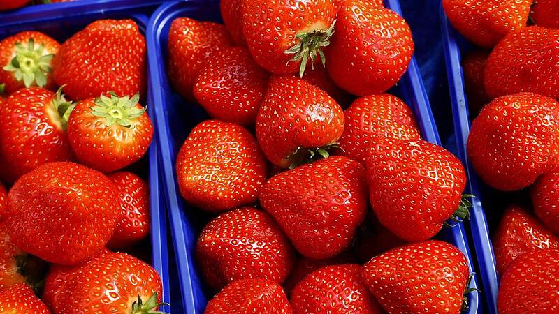 10 Fakten zur Erdbeere: Wussten Sie, dass...