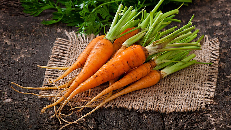 Karotten, die knackigen Kraftpakete