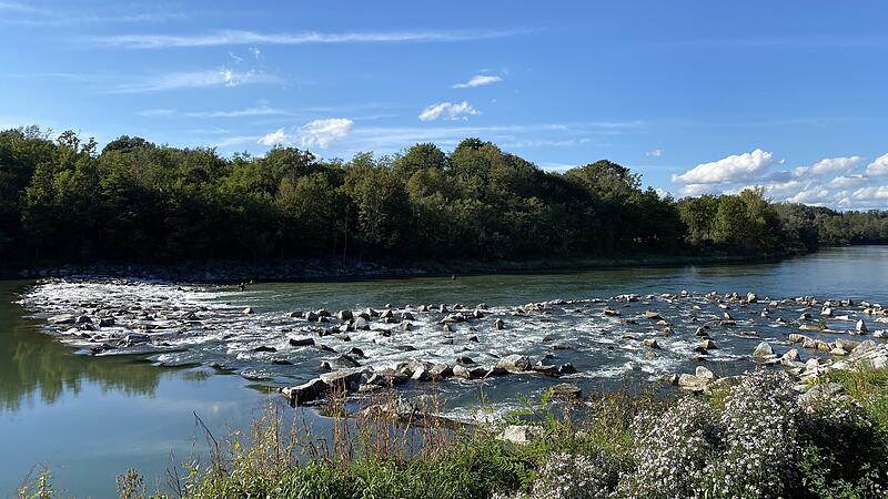Freier Fluss für die Fische zwischen Enns und Steyr