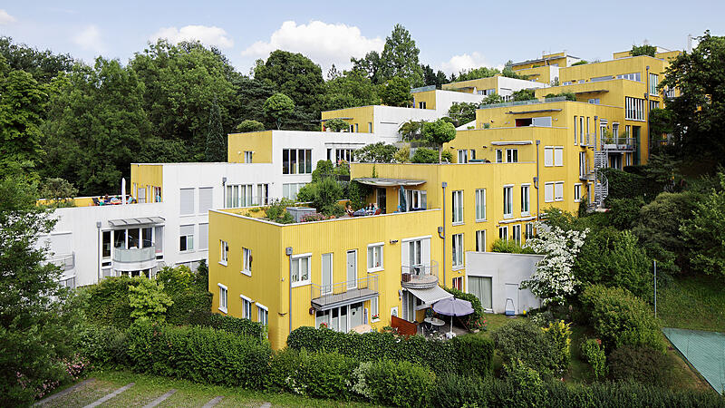 Daidalos für herausragende Bauten in Steyr, Unterach und Linz