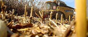 Ernte-Feldreste werden in spezieller Anlage zu Bioenergie verarbeitet